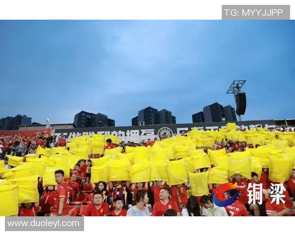 足球传奇球员纷纷离世球迷心中的永恒回忆与哀痛