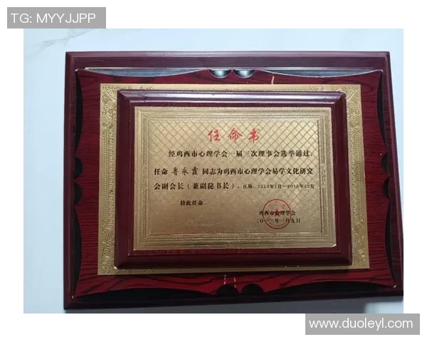 胡姓足球明星全解析及其成就与影响力详解