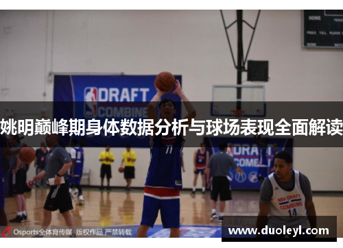 姚明巅峰期身体数据分析与球场表现全面解读