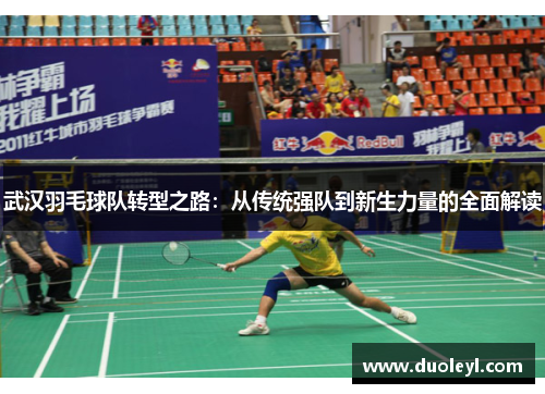 武汉羽毛球队转型之路:从传统强队到新生力量的全面解读